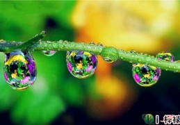 癸水日元的人命好吗