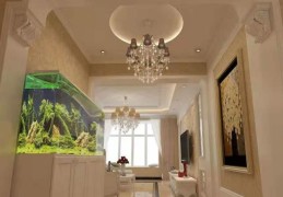 鱼缸放在住宅北方风水好吗