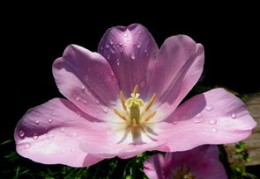 八字无财却能发大财的八字特征（八字无财却能发大财的八字特征是什么）