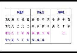 十天干墓库藏干