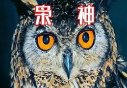 枭神格八字男命的特点