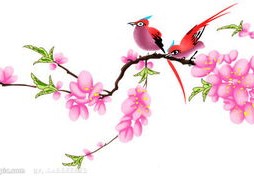 石榴的风水寓意（石榴的风水寓意是什么）