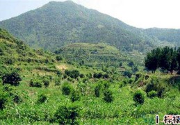 阴宅风水与八字