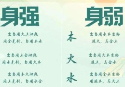 八字身旺身弱的判定自查方法