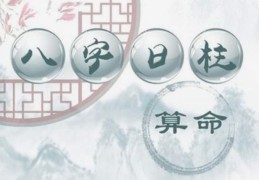 八字上等日柱