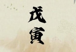 戊寅日出生的人命好吗，戊寅日各个时辰吉凶