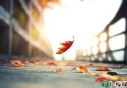 丧门吊客怎么化解