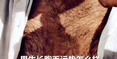 男生长胸毛运势怎么样
