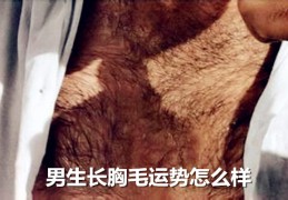男生长胸毛运势怎么样