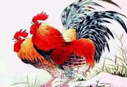 1969年出生的人运势分析