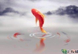 天德贵人详解大全