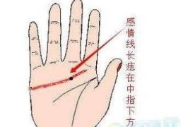 如何从女子的手相中解读爱情（如何从女子的手相中解读爱情）