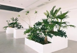 八字看配偶的文凭（八字看配偶文凭高低）