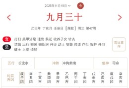 2025年11月19日每日五行穿衣指数解读搭配