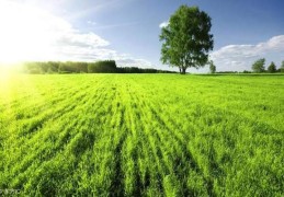 八字比劫夺财的命理特征