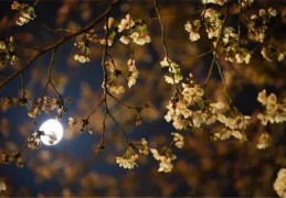 八字中神煞月破含义