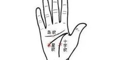 星纹手相论命