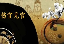 伤官见官的女命八字特征