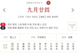 2025年11月13日每日五行穿衣指数解读搭配