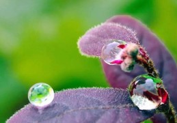 亥时出生的女孩分析