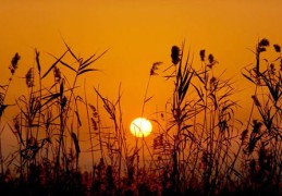 怎样的风水能旺丁旺财（怎样的风水能旺丁旺财运呢）