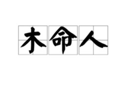 八字木型人运势如何
