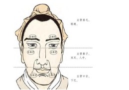 长寿之人面相特征