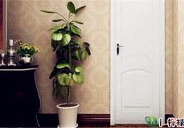 一开门见到什么最招财