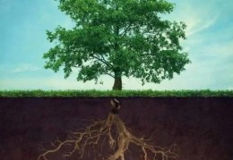 八字财无根代表什么意思