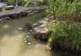 别墅庭院水池方位风水