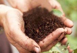 正人君子的八字特征