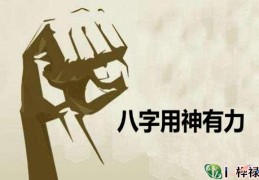 八字用神有力好吗