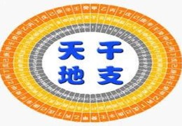 八字天干地支关系总论