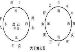 八字干支相互作用关系先后顺序五行对照
