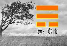 六爻中八卦巽卦取象技巧