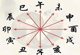 八字地支出现冲代表什么