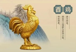 十二地支酉金特点