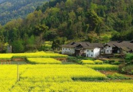 八字的喜用神与忌神找法详解