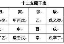 地支藏干在地支组合中的影响