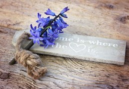 2024什么生肖运势最好