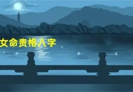 八字大贵格