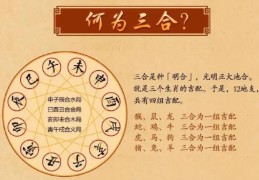 如何判断八字地支三合的效力