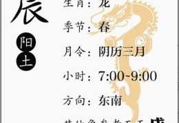 八字基础知识：十二地支、辰土