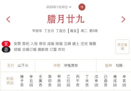 2025年1月28日每日五行穿衣指数解读搭配