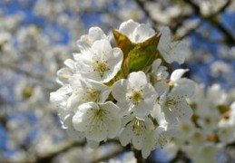 大运怎么看（大运怎么看好坏）