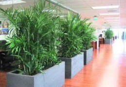 旺偏财的办公室风水布局