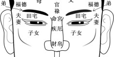 面相宫位怎么看