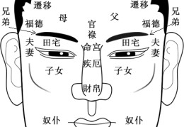 面相宫位怎么看