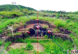 最好的阴宅坐向风水，阴宅立向秘诀