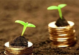 偏财运什么意思（偏财运什么意思啊）